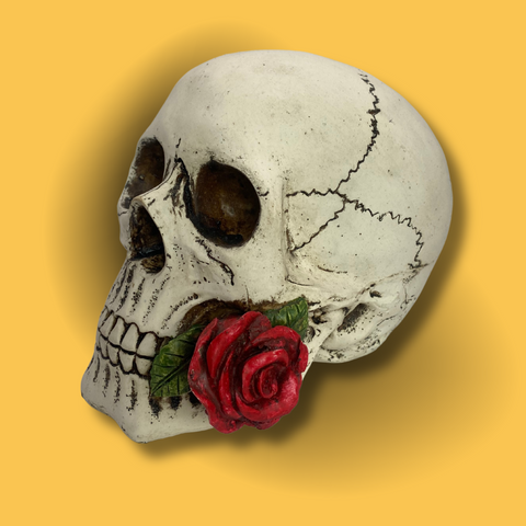 Crâne Décoratif avec Rose Rouge