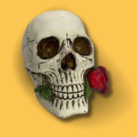Crâne Décoratif avec Rose Rouge
