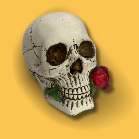 Crâne Décoratif avec Rose Rouge